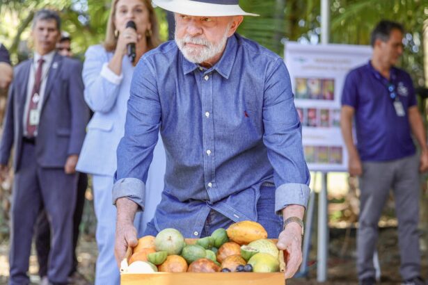 Lula: qualidade do agro é essencial para ampliar exportações
