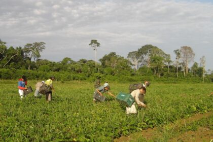 Prêmio para produção acadêmica destaca agricultura familiar