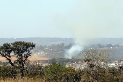 MMA lança edital para arborizar periferia urbana de pequenas cidades