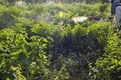 Governo vai monitorar presença de agrotóxico em bacias hidrográficas